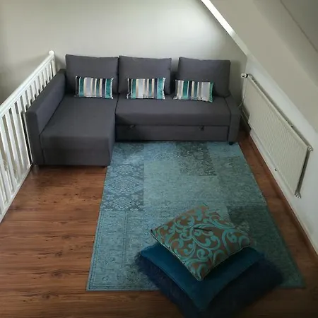 Independent Spaarne Apartament Haarlem