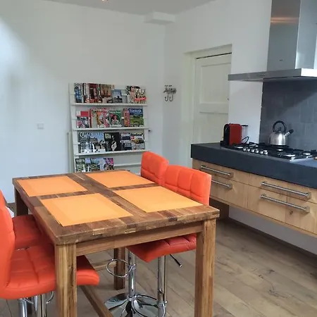 Independent Spaarne Apartament *