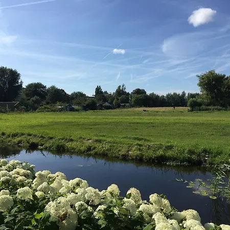 Apartament Independent Spaarne Haarlem