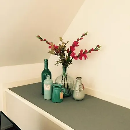Apartament Independent Spaarne Haarlem