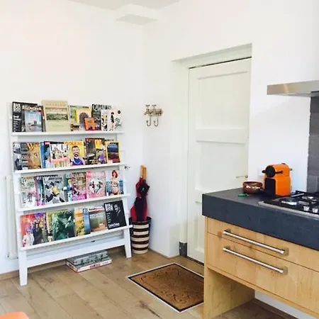Apartament Independent Spaarne *