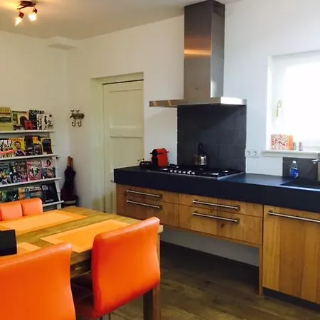 Independent Spaarne Apartament *